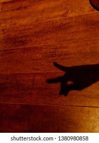 Dog Shadow Puppet Over Wooden Floor