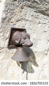 A Dog Shaped Door Bell