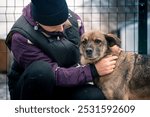 Dog at the shelter. Animal shelter volunteer feeding the dogs. Lonely dogs in cage with cheerful woman volunteer