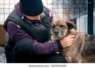 Dog at the shelter. Animal shelter volunteer feeding the dogs. Lonely dogs in cage with cheerful woman volunteer - Powered by Shutterstock