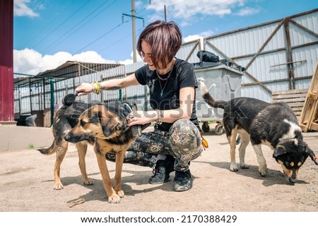 Dog at the shelter. Animal shelter volunteer feeding the dogs. Lonely dogs in cage with cheerful woman volunteer