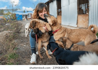Dog at the shelter. Animal shelter volunteer takes care of dogs. Animal volunteer takes care of homeless animals. - Powered by Shutterstock