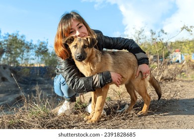 Dog at the shelter. Animal shelter volunteer takes care of dogs. Animal volunteer takes care of homeless animals. - Powered by Shutterstock