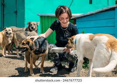 Dog at the shelter. Animal shelter volunteer takes care of dogs. Lonely dogs in cage with cheerful woman volunteer.  - Powered by Shutterstock