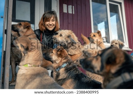 Dog at the shelter. Animal shelter volunteer takes care of dogs. Animal volunteer takes care of homeless animals. Foto stock © 