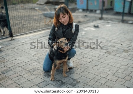 Similar – Portrait of a young, tall woman behind a blond Labrador