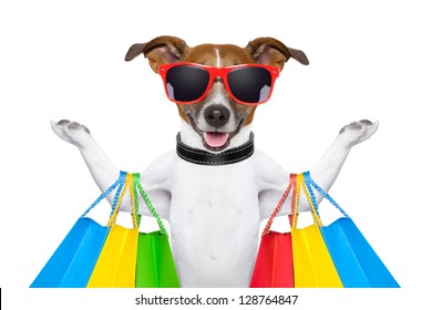  Dog With Shopping Bags