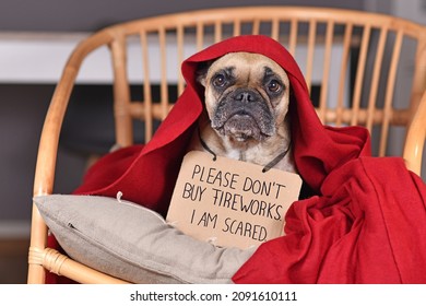 Dog with sign 'Please don't buy fireworks. I am scared' hiding under blanket on new year's eve