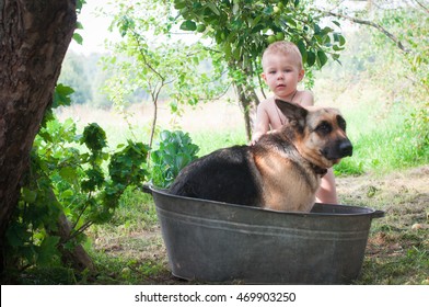 A Dog Sits In A Bath Outdoors And Child. Hardening Of The Body