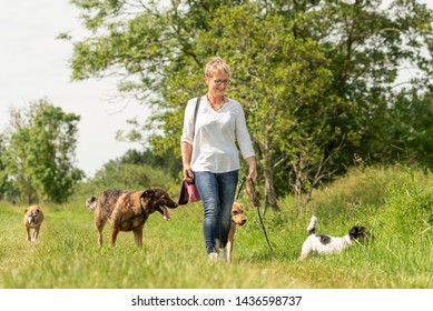 23,034 Old Woman Hiking Images, Stock Photos & Vectors | Shutterstock