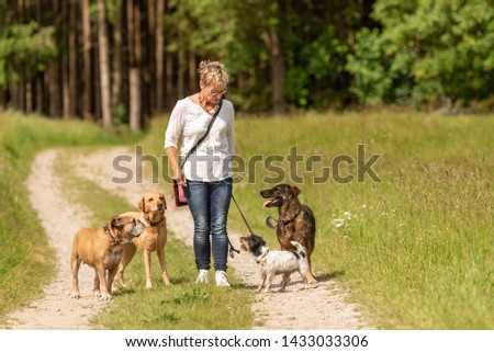 Similar – Image, Stock Photo Attractive womanon a rural path with dogs at sunset