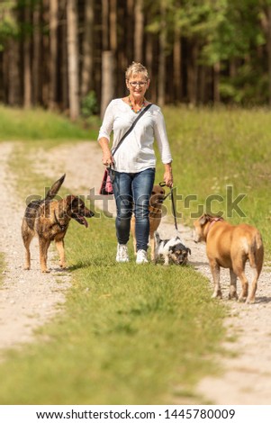 Similar – Image, Stock Photo Attractive womanon a rural path with dogs at sunset