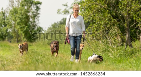 Similar – Image, Stock Photo Attractive womanon a rural path with dogs at sunset