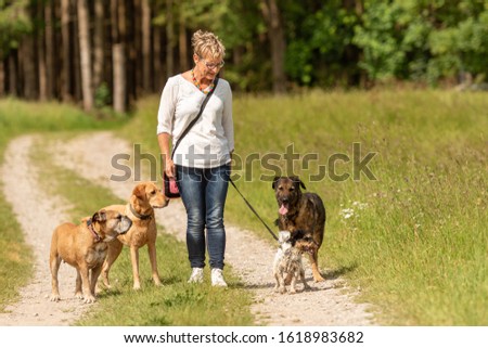 Similar – Image, Stock Photo Attractive womanon a rural path with dogs at sunset