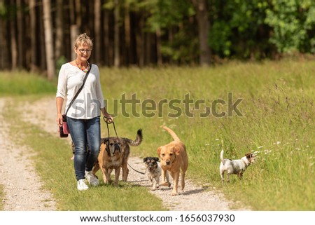 Similar – Image, Stock Photo Attractive womanon a rural path with dogs at sunset