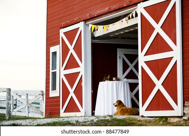 Dog Barn Images Stock Photos Vectors Shutterstock