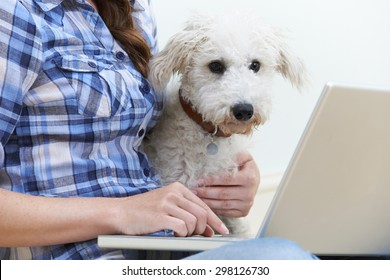 Dog Sitting Next To Owner Using Laptop