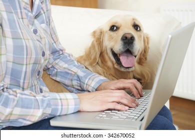 Dog Sitting Next To Owner Using Laptop