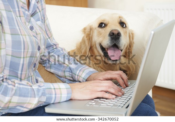 犬が飼い主の隣に座ってノートパソコンを使う の写真素材 今すぐ編集