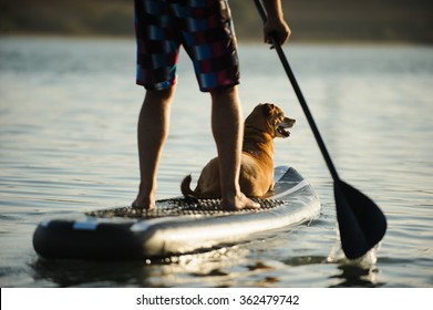 Dog sitting on the front of a paddleboard with owner paddling 