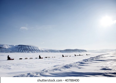 A Dog Sled Expedition Across A Barren Winter Landscape