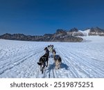 Dog sled in a glacier