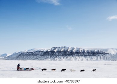 A Dog Sled Running On A Barren Winter Landscape