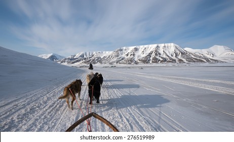 Dog sled tour across a barren winter landscape, Svalbard, Norway