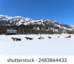 Dog sledding in Jackson Hole Wyoming