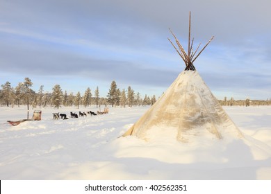 Dog Sledding In Lapland