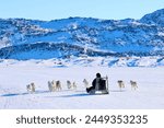 Dog sledding near Ilulissat in Greenland.