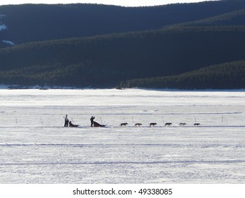 Dog Sledding On Frozen Lake Near   Leadville,  Colorado