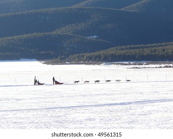 Dog Sledding On Frozen Lake Near   Leadville,  Colorado