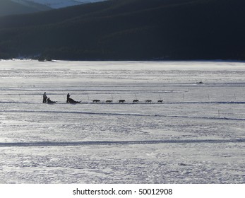 Dog Sledding On Frozen Lake Near   Leadville,  Colorado