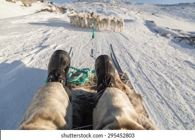 Dog Sledding Selfie In Greenland With Feet In The Foreground