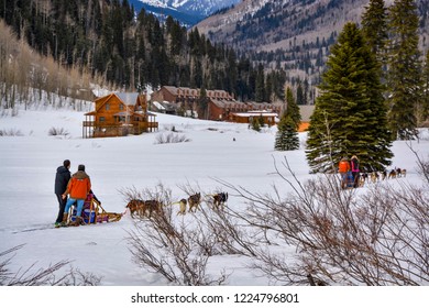 Dog Sledding SW Colorado.