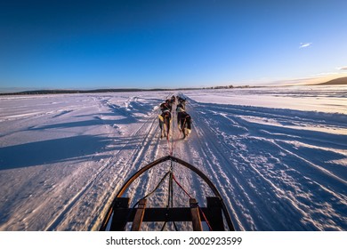 Dog Sledding In Jukkasjärvi, Sweden