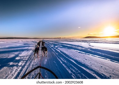 Dog Sledding In Jukkasjärvi, Sweden