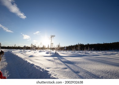 Dog Sledding In Jukkasjärvi, Sweden