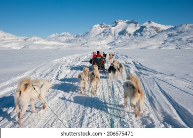 Dog sledding tour in Tasiilaq, Greenland