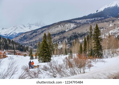 Dog Sledding Winter, Colorado.