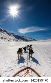  
Dog Sledge In Rugged Snowy Landscape With Mountains In The Back And Blue Sky