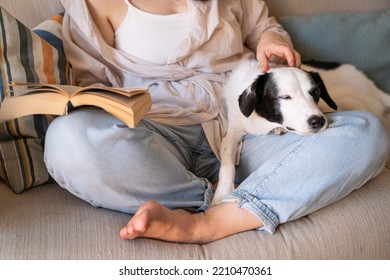 Dog Sleeping Napping While The Owner Reading Book. Blue Jeans Woman Sitting With Her Legs Crossed On Beige Sofa Enjoying Novel. Relaxed Weekend Mood At Home With Pet. Beige Light Living Room Daytime