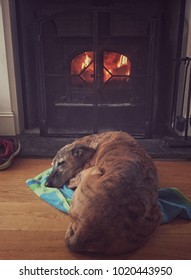 Dog sleeping next to fire place