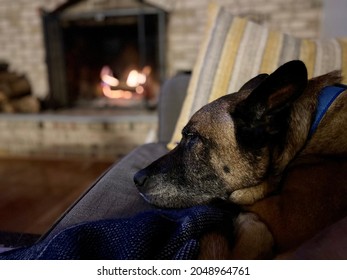 Dog Sleeping On Couch By Fireplace