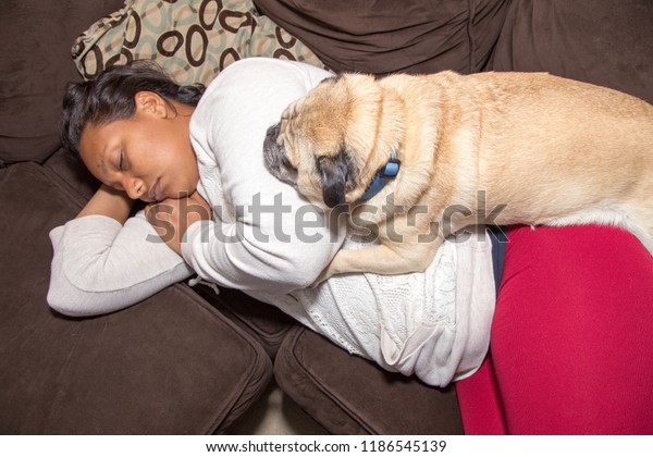 dog on top of woman
