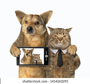 The Dog With A Smartphone And Cat In A Black Tie Made Selfie Together. White Background. Isolated.