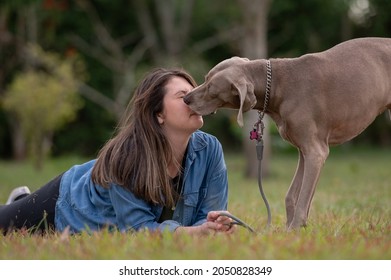 
Dog Sniffing The Face Of Young Woman Who Is Lying On The Grass 