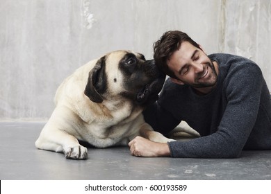 Dog Sniffing Handsome Dude In Studio