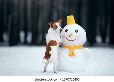 460,394 Snowman Images, Stock Photos & Vectors | Shutterstock